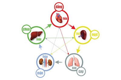 Kim Ca Luận Tứ Trụ – Bát Tự: Phân Tích Vận Mệnh Qua Ngày Sinh