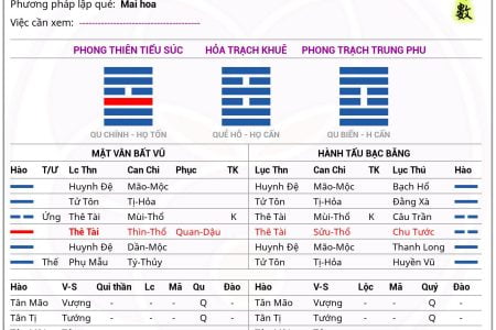 Quẻ Tiểu Súc Biến Trung Phu: Ý Nghĩa và Những Gợi Ý Thực Tiễn