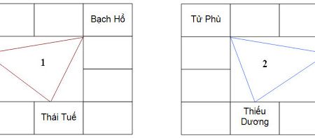Vòng Thái Tuế Trong Tử Vi: Ý Nghĩa Và Tác Động