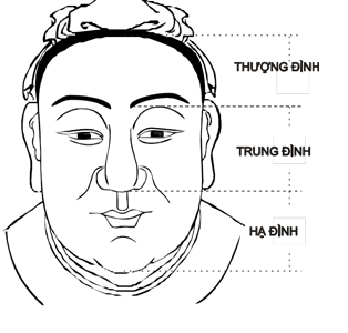 Khám Phá Ý Nghĩa 12 Cung Trên Khuôn Mặt Trong Nhân Tướng Học